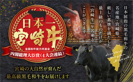 宮崎牛100% ミンチ1.4kg 牛肉 ミンチ