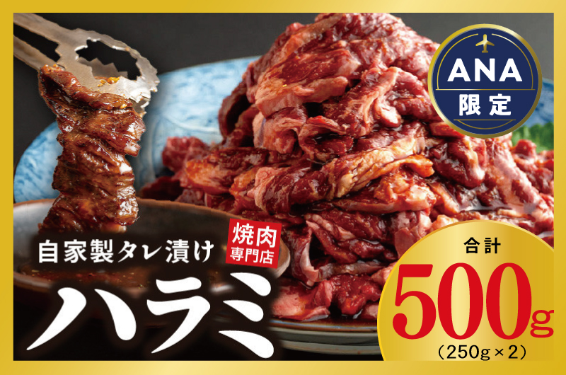 特製タレ漬け ハラミ 500g 小分け 250g×2P 牛肉 焼き肉専門店