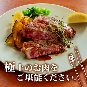 【2回定期便】土佐黒毛和牛 食べ比べ 940g | Bコース 厳選 国産 和牛 ステーキ 焼き肉 お肉 にく 霜降り 牛肉 サーロイン リブロース 人気 贈答 ギフト プレゼント 小分け 数量限定 2