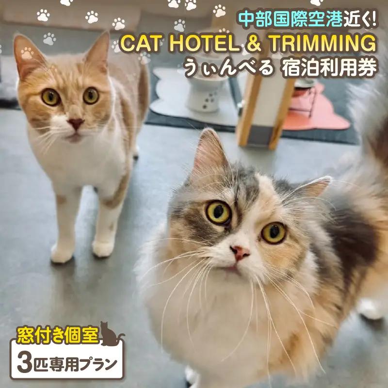 CAT HOTEL & TRIMMING　うぃんべる　宿泊利用券　3匹専用プラン│ペットホテル 宿泊券 猫 1泊2日 愛知県 常滑市