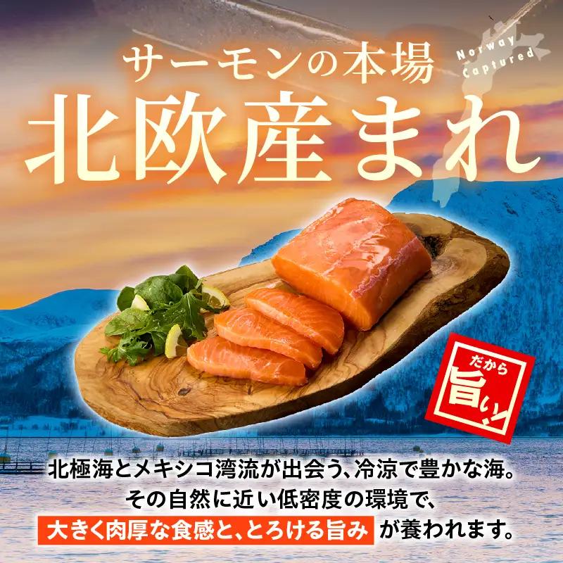 アトランティックプリンスサーモン(プレミアム)1kg アトランティックプリンスサーモン モウイプリンス サーモン 鮭 お寿司 寿司 刺身 にぎり寿司 カルパッチョ サラダ グリル