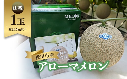 静岡暗室マスクメロン アローマ印　　　　　山級約1.45kg以上　1玉【1502111】