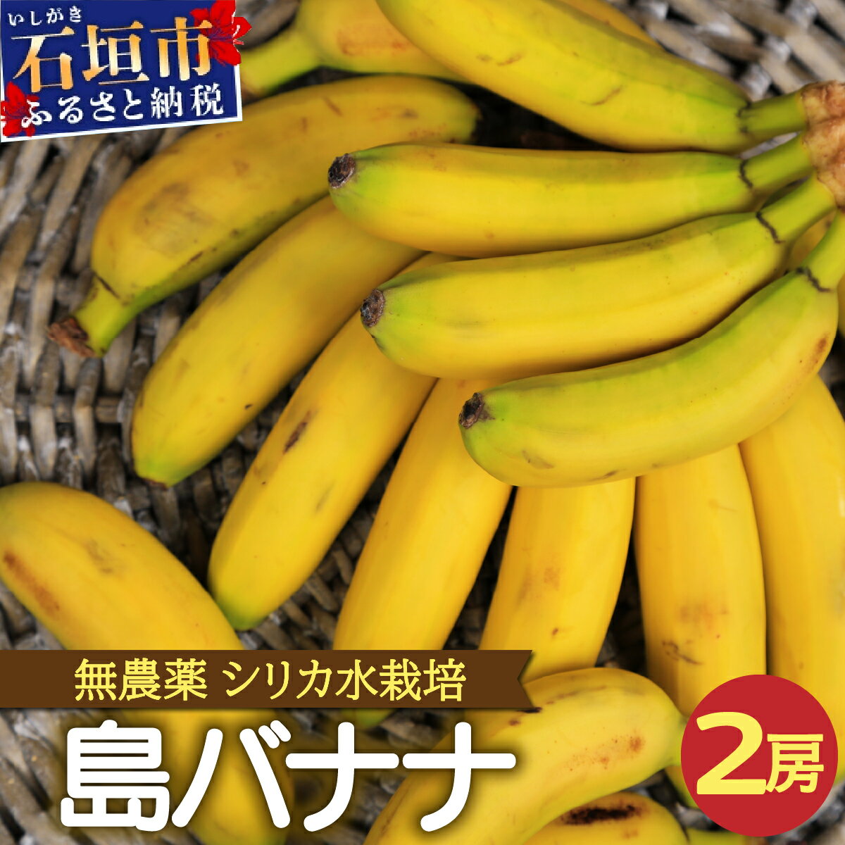 希少！特許製法で作るシリカ水で栽培する特別な「島バナナ」OI-6 沖縄県石垣市 沖縄 石垣市 石垣島 希少 無農薬 バナナ 島バナナ シリカ水 離島のいいもの 沖縄いいもの石垣島