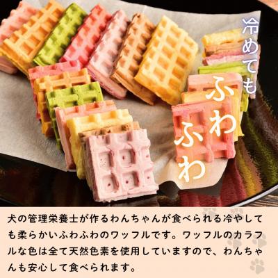 ふるさと納税 飯山市 【冷凍】 わんちゃんが食べられる「虹色ワッフル」10個セット |  | 01