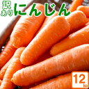 【ふるさと納税】《期間限定》農薬・化学肥料不使用 南関町産 にんじん 12kg 訳あり 自然のまま 野菜 季節 送料無料