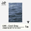 【ふるさと納税】 【山形緞通×奥山清行】UMI - Cool Gray (M) [oc-loumm]