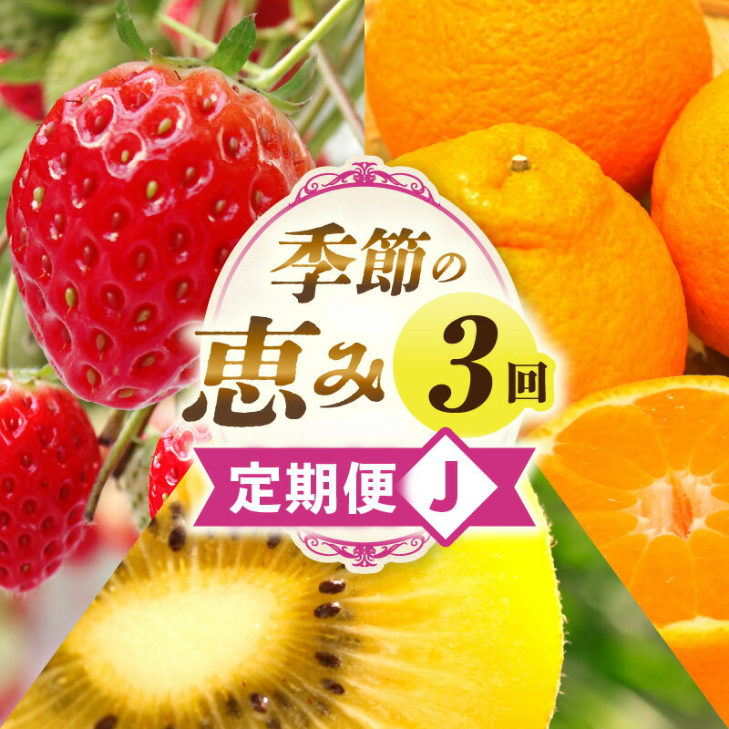 【ふるさと納税】季節の恵み3回定期便J 果物 フルーツ 青果 青果物 デザート スイーツ 果実 旬 季節 旬の果物 季節の果物 生鮮食品 生鮮 贈答 贈り物 ギフト プレゼント おすそ分け お祝い 内祝い ご褒美 人気 グルメ お取り寄せ 特産品 特産 国産 香川県 三木町 送料無料