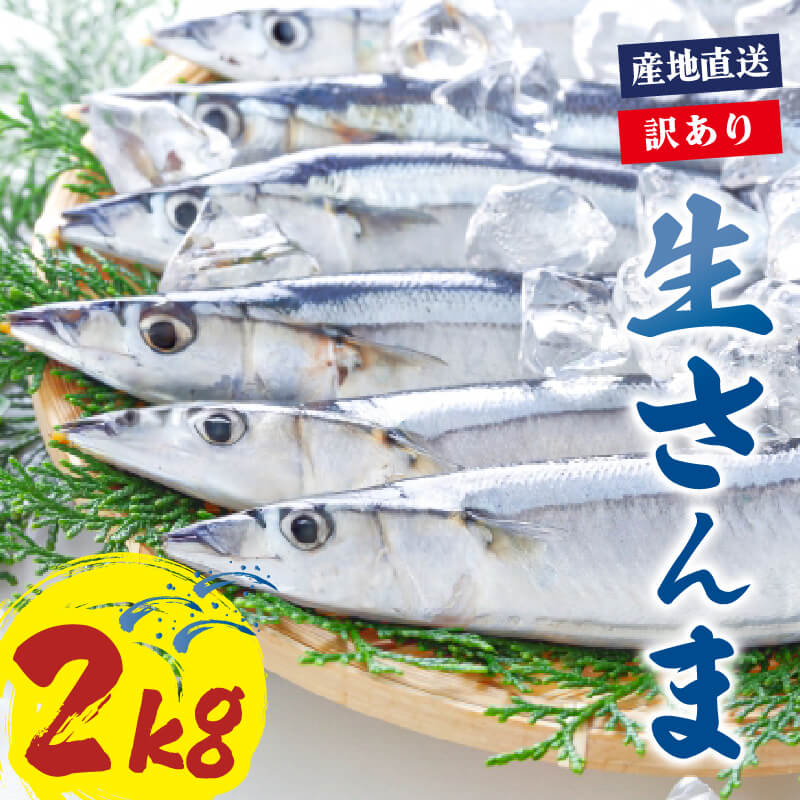 【ふるさと納税】 2025年先行予約 訳あり 鮮さんま 約2kg 冷蔵 サンマ 秋刀魚 発送予定：2025年9月中旬〜11月末まで 限定 期間限定 旬 簡単調理 焼き魚 煮魚 フライ おかず おつまみ 晩酌 米 丼 海産物 海鮮 魚介 魚介類 三陸 岩手県 大船渡市