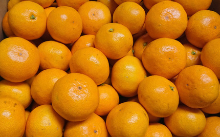【先行予約】薄皮で濃い甘さ！完熟由良みかん【秀】7.5kg×1箱（混サイズ）和歌山県由良産※2025年11月下旬頃から順次発送予定(お届け日指定不可) / 柑橘 ミカン 蜜柑 甘い 由良町 フルーツ 
