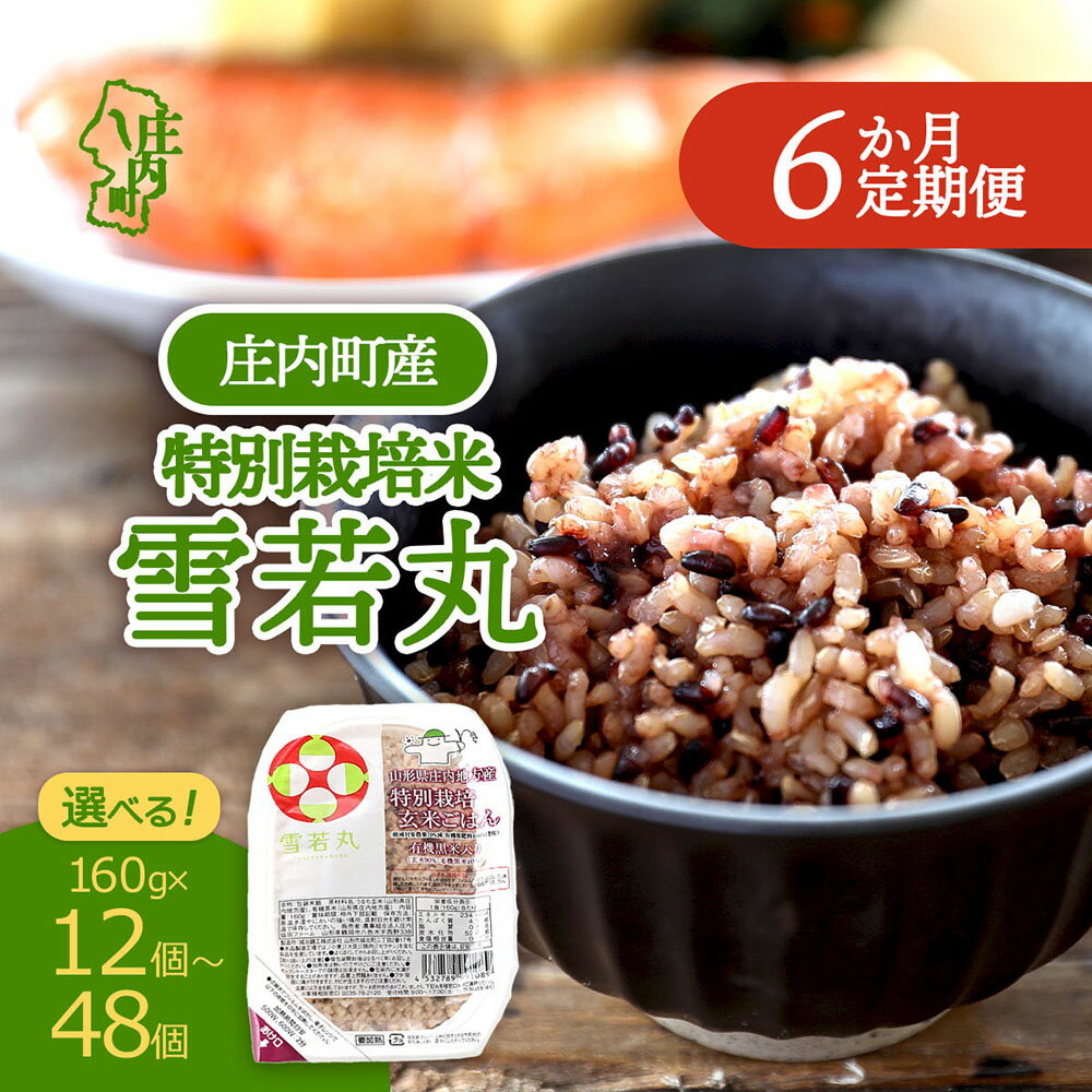 【ふるさと納税】【6か月定期便】雪若丸 玄米パックごはん 160g×12個 / 24個 / 48個 選べる内容量 配送開始月 有機黒米入 健康 ダイエット パック ライス レトルト ごはん 備蓄 保存食 防災 簡単レンジ 温めるだけ 湯煎調理 定期【毎月中旬発送】