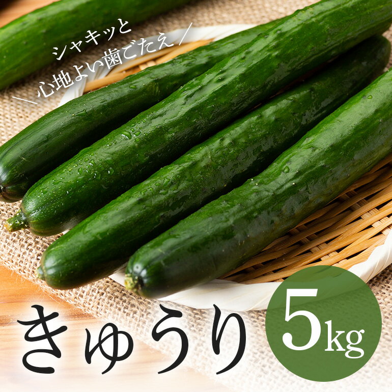 【ふるさと納税】 キュウリ 5kg きゅうり 胡瓜 夏野菜 常温便 新鮮 国産 茨城県産 野菜 夏 旬 産地直送 農園直送 ベジタブル グリーン サラダ 一本漬け 浅漬け 家庭用 業務用 フレッシュ 茨城県 石岡市 (A33-002)
