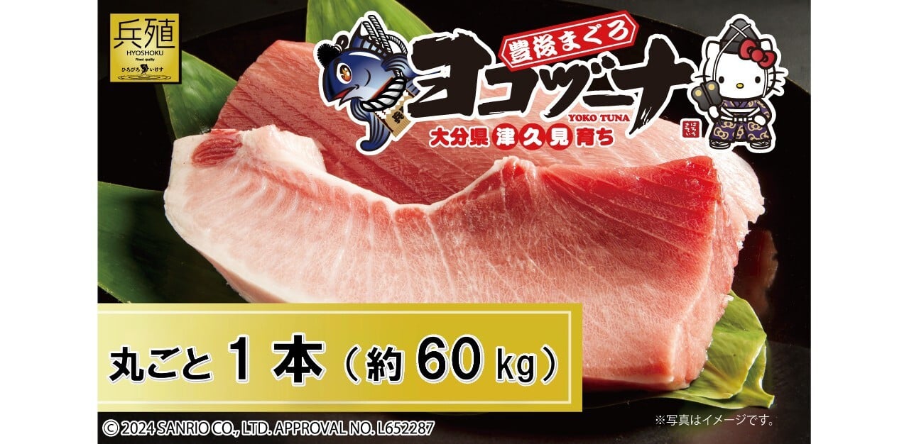 
                  【本マグロ / マグロまるごと1本】豊後まぐろヨコヅーナ 1本 約60kg | まぐろ1本 マグロ食べ尽くし 本まぐろ 本マグロ 本まぐろ 本鮪 丸ごと 赤身 大トロ 中トロ トロ 刺身 大分県津久見市産 
                