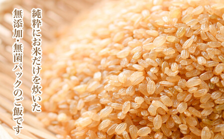 玄米 発芽玄米(150g×24個)パックごはん 玄米 玄米 玄米