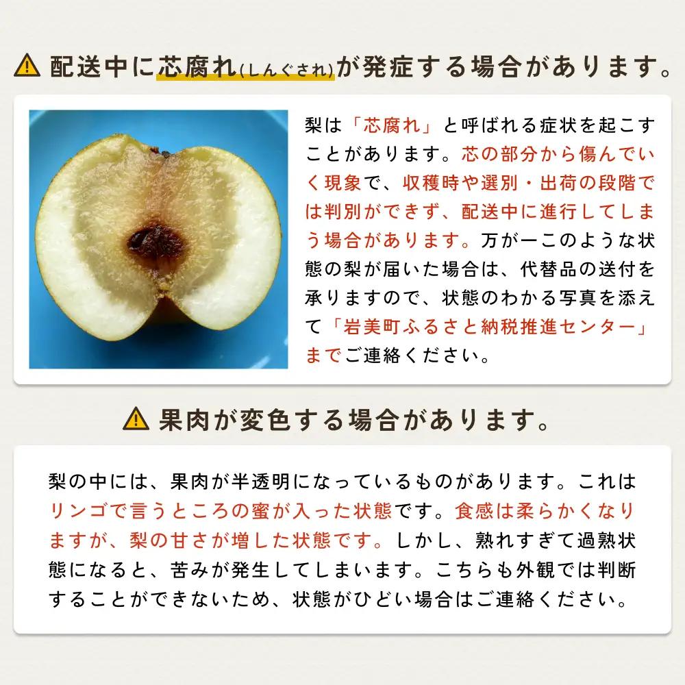 中野農園 梨 ”王秋梨” 5kg箱｜鳥取 岩美 梨 なし ナシ※お届けは2026年11月以降【41017】