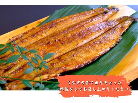 【徳島県産】美波町の森が育んだ「樵木（こりき）備長炭」で焼き上げる。外はパリッ、中はふっくら。職人手焼きの極上うなぎ（大きめ5尾）ふるさと納税 うなぎ 鰻 蒲焼 国産 徳島県 美波町 炭火焼 備長炭 