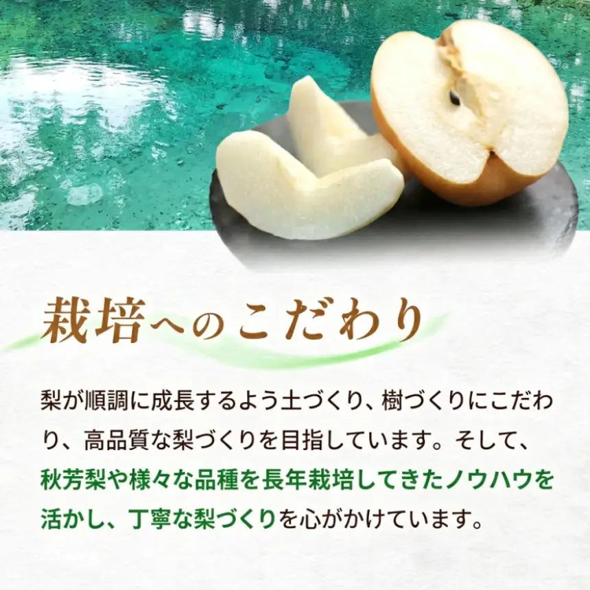 おいしい梨をいつでも 和梨のシロップ漬け（3個） 和梨ジャム（3個） 計6個セット  ( 秋芳の実 梨 百年の樹 )