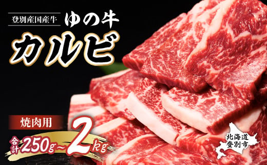 
量が選べる！牛肉 北海道 焼肉 登別産 国産 手切り カルビ スライス 250g～2kg　登別産国産牛ブランド【登別牧場ゆの牛(うし)】
