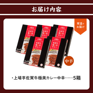 佐賀牛極美カレー（中辛）【200ｇ×5箱】【A108】