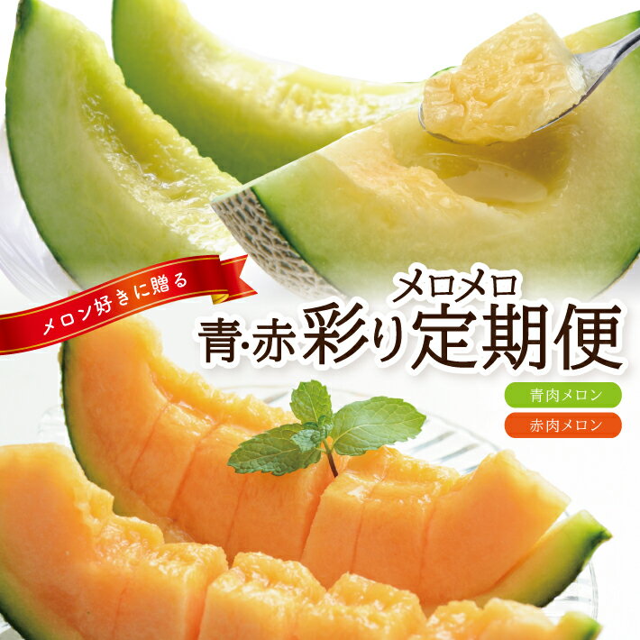 【ふるさと納税】≪2回定期便≫ メロン好きに贈る 青・赤彩りメロメロ定期便2025 6月下旬〜7月上旬「庄内青肉メロン 約5kg（4～5玉）」 7月中旬〜7月下旬「庄内赤肉メロン 約5kg（4～5玉）」 計2回 山形県酒田産 ※着日指定不可 頒布会 食べ比べ 庄内砂丘 酒田 夏 旬