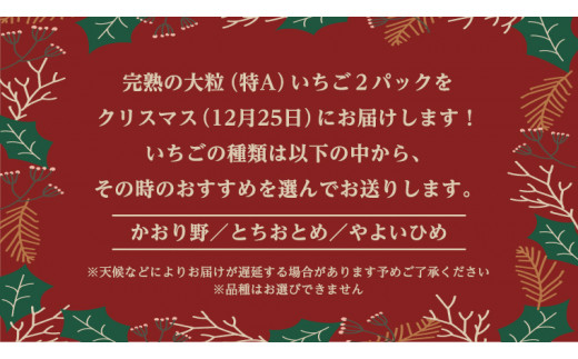 【12/25 到着】 クリスマス に届く 完熟 いちご  約260g×2パック 数量限定 完熟いちご やよいひめ かおり野 とちおとめ 国産 いちご イチゴ 苺 旬のいちご 贈り物 果物 フルーツ 茨