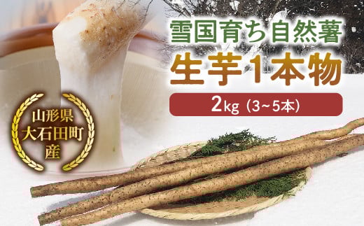 
            山形県産 雪国育ち自然薯 生芋1本物 2kg（3～5本） F2Y-5114
          
