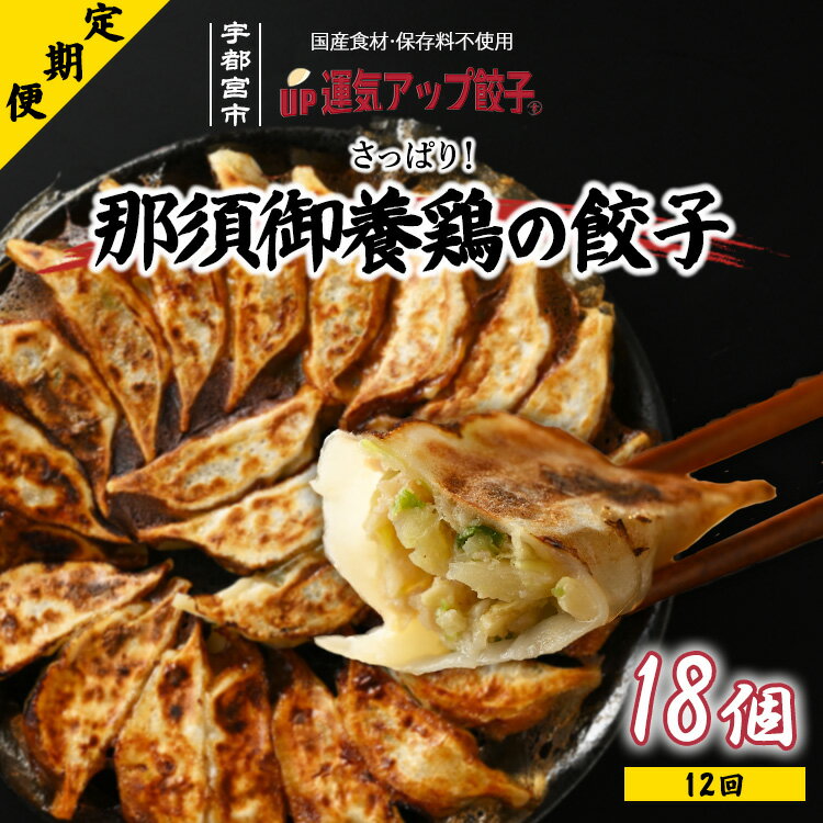 【ふるさと納税】【定期便12回】宇都宮餃子 運気アップ餃子 那須御養鶏の餃子（18個×12回　合計216個）　【ぎょうざ ギョウザ ギョーザ 冷凍食品 冷凍餃子 惣菜 夜ご飯 おかず おつまみ 手軽 時短 お取り寄せ グルメ 送料無料 栃木県 宇都宮市】※配送不可地域：離島