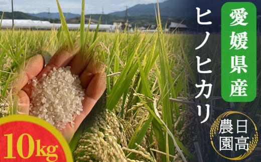 令和7年産！愛媛県産ヒノヒカリ 10kg ｜産地直送 国産  白米 ブランド米 期間限定 数量限定 ご当地 愛媛県 松山市