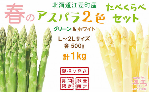【数量限定　4月～5月初旬出荷】2026年 北海道江差町産 「春」のアスパラ２色食べくらべセット 計1kg　ホワイトアスパラ 500g ＆ グリーンアスパラ 500g　L～2Lサイズ　朝採り　農家直送　みずみずしい　新鮮　アスパラガス　甘い