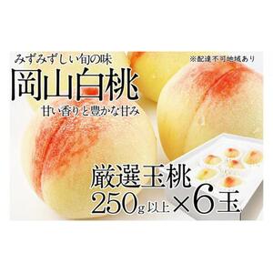 桃 2026年 先行予約 岡山の白桃 250g以上×6玉 | 白桃 旬 みずみずしい 晴れの国 おかやま 岡山県産 フルーツ王国 果物王国