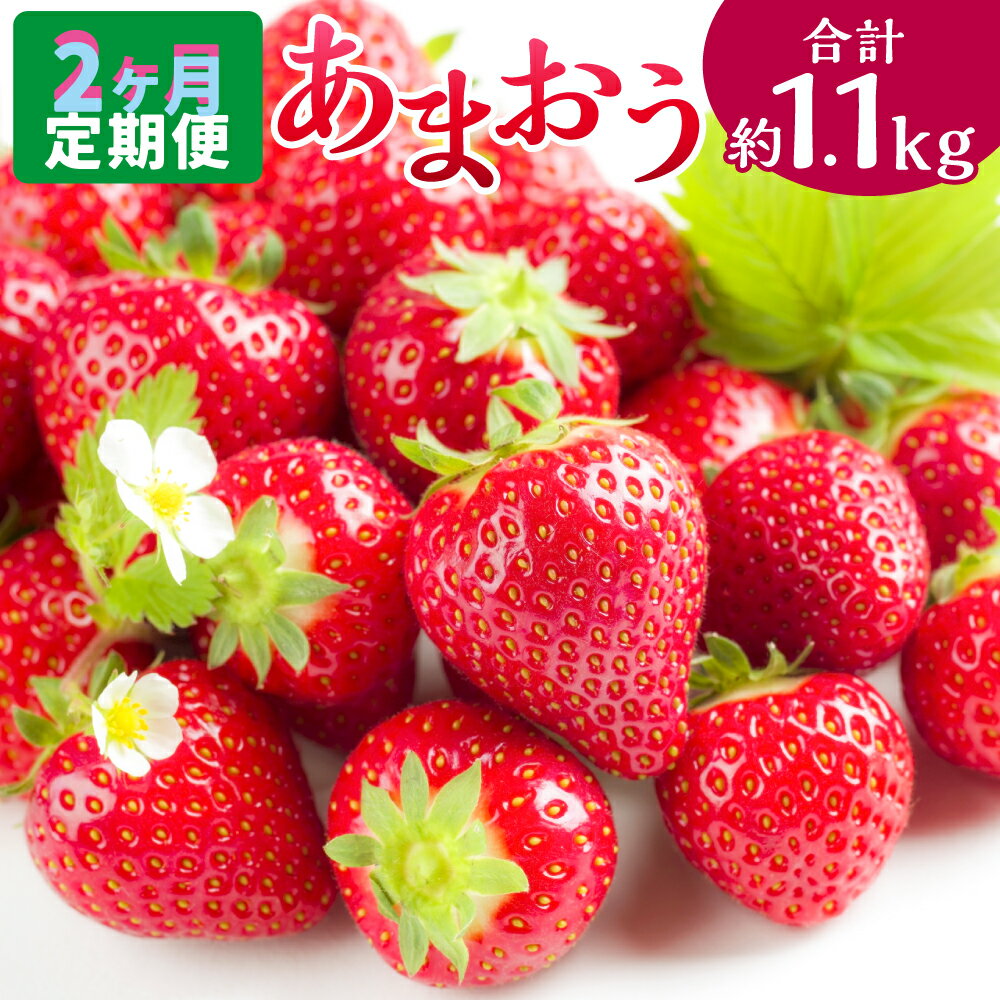 【ふるさと納税】【2ヶ月定期便】エコファーマー あまおう 約280g×2パック×2回 計約1120g【数量限定】小分け いちご 苺 ストロベリー 果物 フルーツ おやつ デザート 福岡県産 福岡 国産 定期便 送料無料【2027年2月上旬-3月下旬発送予定】