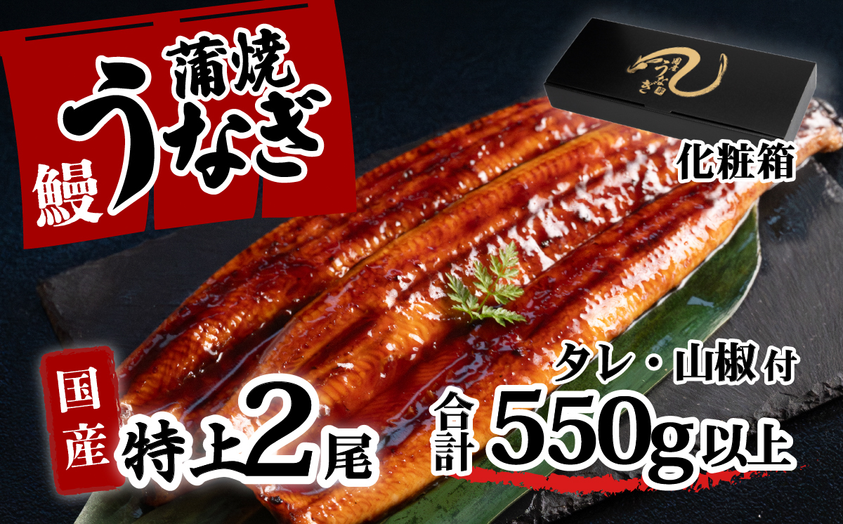 【化粧箱入り】特上 国産うなぎ 蒲焼 2尾セット 【合計570g以上】 タレ・山椒付 ウナギ 鰻 うな重 ひつまぶし 人気 茨城 八千代町 ふるさと納税 冷凍 ギフト 化粧箱