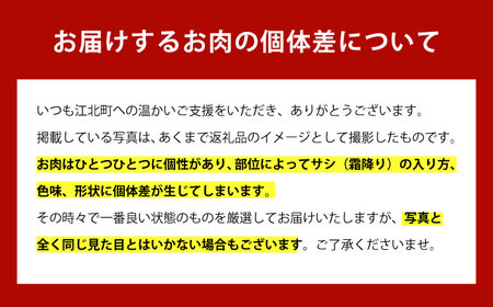 【いろいろな部位を楽しめて、食べごたえ抜群！】＜全6回定期便＞佐賀牛 はしっこちゃん 500g（ロース カルビ）【がばいフーズ】佐賀牛 A5  A4 焼肉 カレー[HCS042]