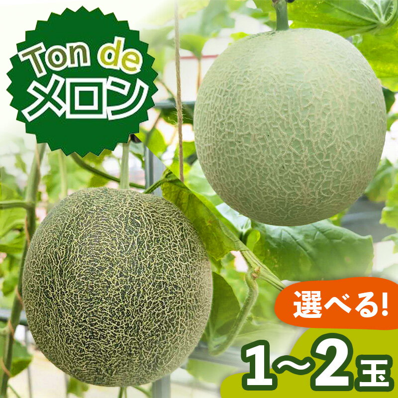 【ふるさと納税】【先行受付】令和9年産 Ton de メロン 選べる玉数【ペルルグリーンメロン アールスヴェルダメロン フルーツ 果物 食べ比べ 美味しい 甘い 芳醇 しっとり 上品 旬 ご褒美 ギフト 贈り物 ご自宅用 安来 島根県 安来市】