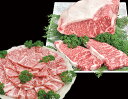 【ふるさと納税】紀和牛極上焼肉1kg＋ サーロインステーキ3枚（600g）セット　TM-29
