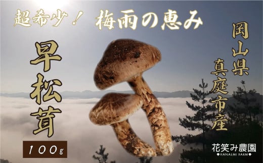 hana76.花笑み農園　超希少！早『松茸』100g～梅雨の恵み　（6～7月発送）