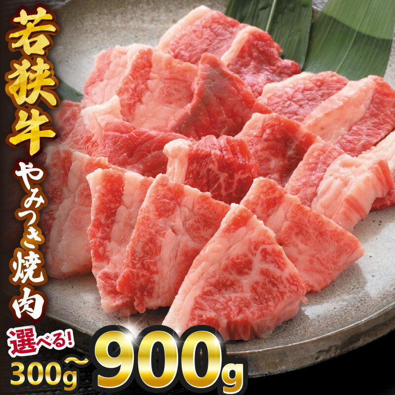 【ふるさと納税】若狭牛やみつき焼肉 【選べる内容量：300g / 600g / 900g】 スタミナUP！健康長寿！ 若狭牛 国産和牛 黒毛和牛 黒毛和種 ブランド牛 和牛 肉 牛 牛肉 モモ肉 ばら肉 焼き肉 坂井市 福井県産 国産 冷凍 人気
