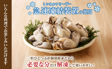 【定期便５回】牡蠣 冷凍 むき身 １kg 備前市日生産 急速凍結牡蠣 一年牡蠣 国産 加熱調理用 牡蠣アヒージョ 牡蠣ご飯 カキフライ 海鮮鍋  全国牡蠣-1グランプリ豊洲2024 加熱部門初代グラン