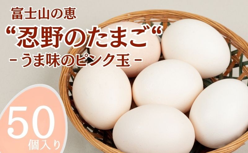 
                  富士山の恵“忍野のたまご“‐うま味のピンク玉‐50個入 tamago TAMAGO たまご 玉子　卵
                