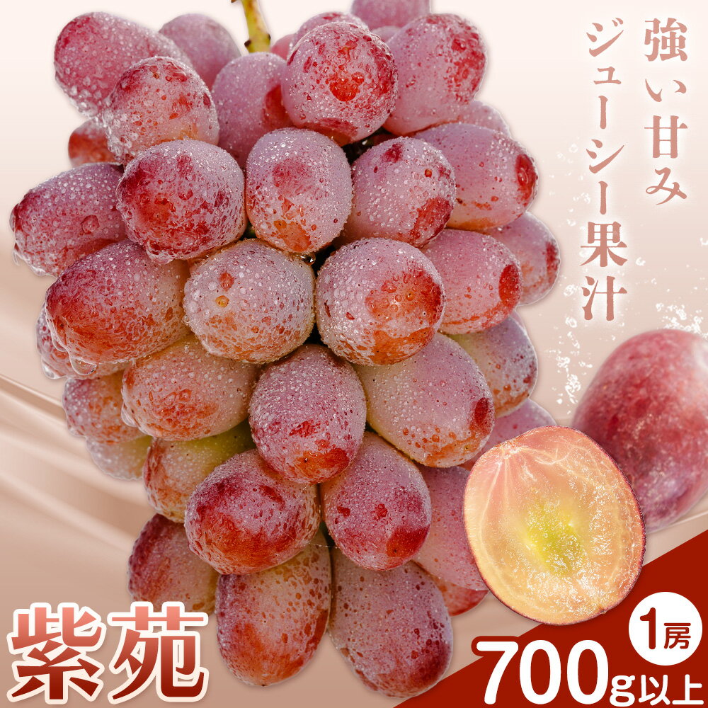【ふるさと納税】ぶどう 紫苑 しえん フルーツ 700g以上 1房 化粧箱入り 株式会社山博《2025年10月下旬-11月下旬頃出荷》岡山県 笠岡市 送料無料 ブドウ 果物 旬 国産 岡山県産【配送不可地域あり】