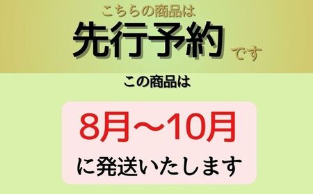 【2024年 先行予約】山梨県産　シャインマスカット 1.2kg (２房～3房)