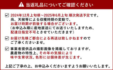 食べるレモン スイートレモネード 約3kg（20～30玉）【吉田レモニー】【2024年12月上旬～2025年6月上旬発送】檸檬 柑橘