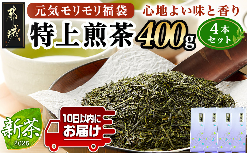 
            【元気モリモリ福袋】気分リフレッシュ!特上煎茶4本セット≪みやこんじょ特急便≫_AA-4802-Q_(都城市) お茶の産地 最高級品 ホットでも冷茶でも 日本茶
          