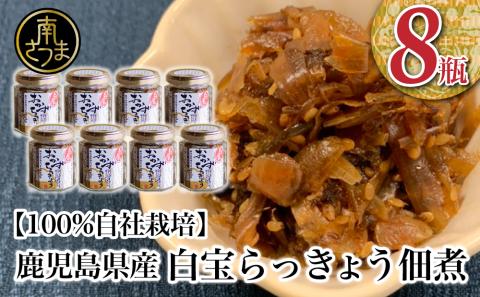 【鹿児島県産】白宝らっきょう佃煮 8個