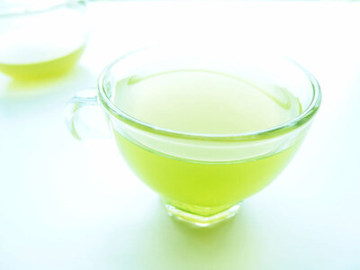 煎茶 ティーバッグ 30包 3袋 セット 有機農家 静岡県産 日本茶 お茶 静岡県 藤枝市 ( お茶 静岡 お茶 静岡 お茶 静岡 お茶 静岡 お茶 静岡 お茶 静岡 お茶 静岡 お茶 静岡 お茶 静