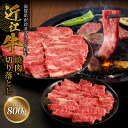 【ふるさと納税】近江牛焼肉 500g・近江牛切り落とし 300g