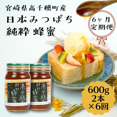 【6ヶ月定期便】日本みつばち 高千穂の純粋蜂蜜 600g×2本 セット