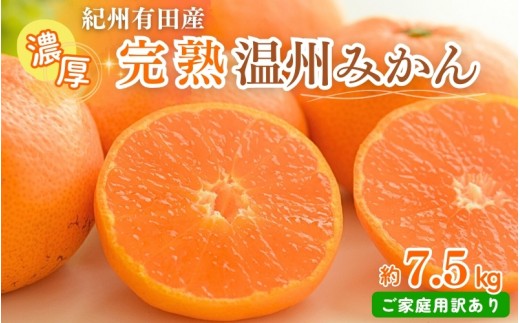 
                  【先行予約】【ご家庭用訳アリ】紀州有田産濃厚完熟温州みかん　7.5kg　※2026年11月下旬～2027年1月下旬頃に順次発送予定(お届け日指定不可)【uot704A】
                