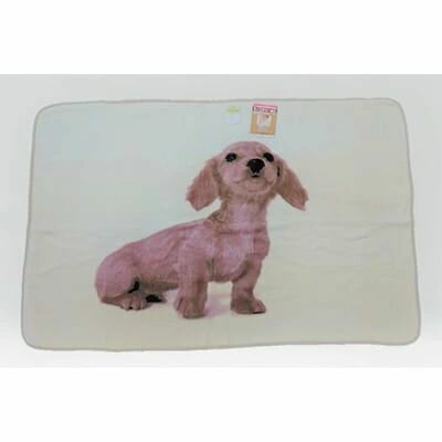 【ふるさと納税】泉大津製 モイスチャー加工ハーフケット ダックスフンド犬 横ベージュ｜デザイン オシャレ ブランケット ひざ掛け 膝掛 快眠 快適 熟睡 寝具 ベッド 新生活 [0749]