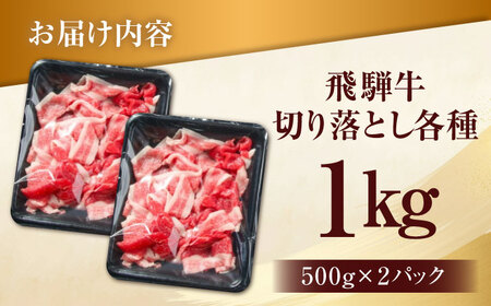 【訳あり】 飛騨牛 切落とし 1kg(500g×2パック) 多治見市 / 飛騨高山ミート MZ035 冷凍 真空パック ブランド和牛[THP026]