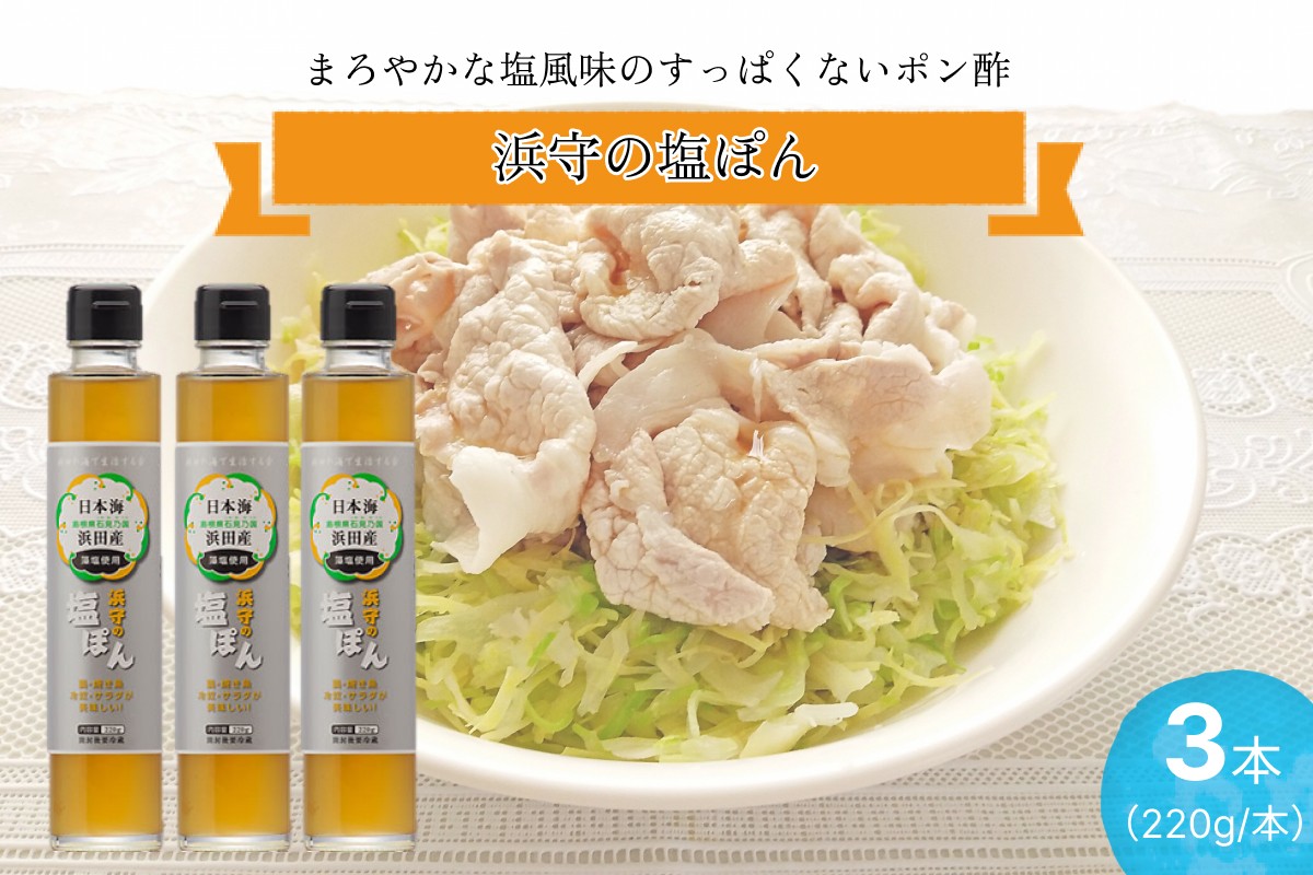 
                  浜守の塩ぽん　3本セット 調味料 ポン酢 塩風味 ゆず さっぱり あっさり 【210_0002】
                
